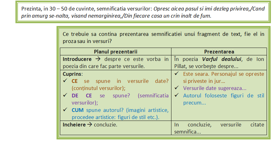 rezolvari simulare evaluare nationala limba romana-05