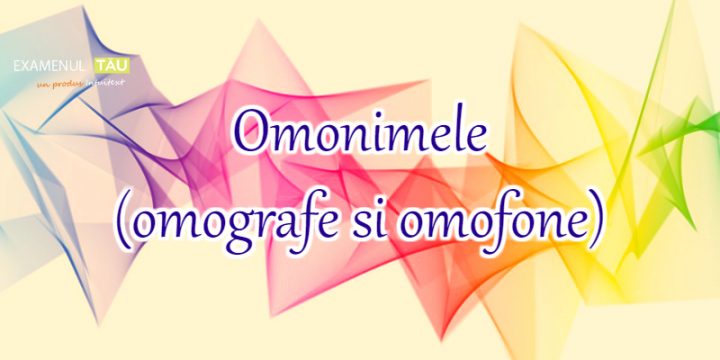 Omonimele (omografe si omofone)  Lectie online • ExamenulTau.ro